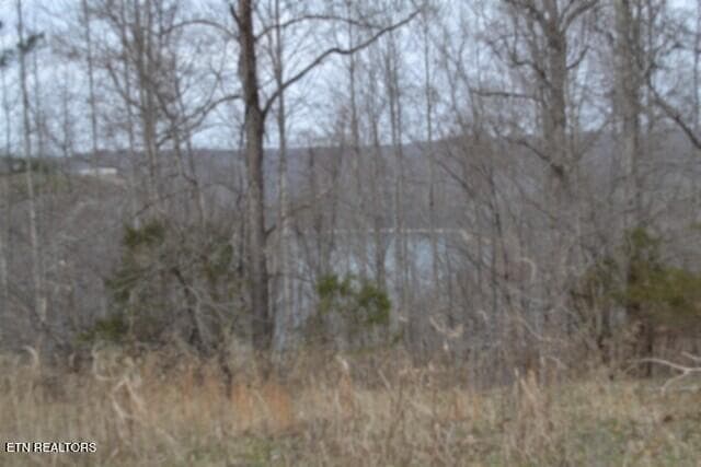 DSC_0009 - Lots 4 & 5 Fox Hill Rd, Baxter, TN 38544, Baxter