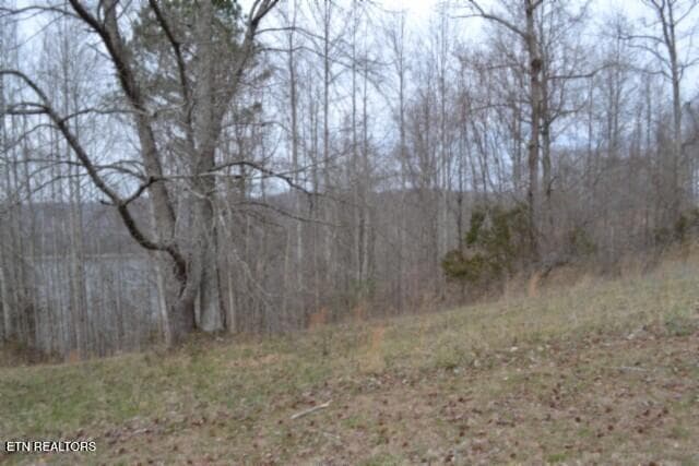 DSC_0014 - Lots 4 & 5 Fox Hill Rd, Baxter, TN 38544, Baxter