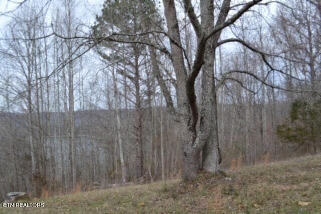 DSC_0015 - Lots 4 & 5 Fox Hill Rd, Baxter, TN 38544, Baxter