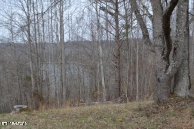 DSC_0016 - Lots 4 & 5 Fox Hill Rd, Baxter, TN 38544, Baxter
