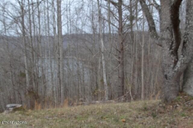 DSC_0017 - Lots 4 & 5 Fox Hill Rd, Baxter, TN 38544, Baxter