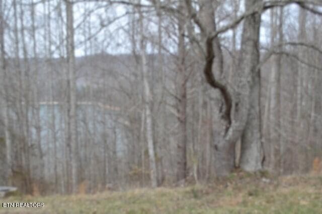 DSC_0020 - Lots 4 & 5 Fox Hill Rd, Baxter, TN 38544, Baxter