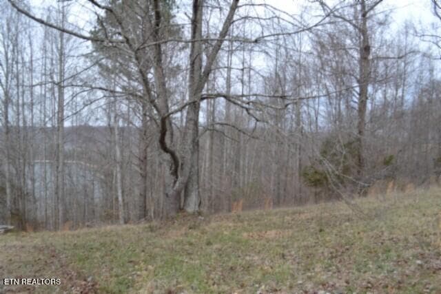 DSC_0022 - Lots 4 & 5 Fox Hill Rd, Baxter, TN 38544, Baxter