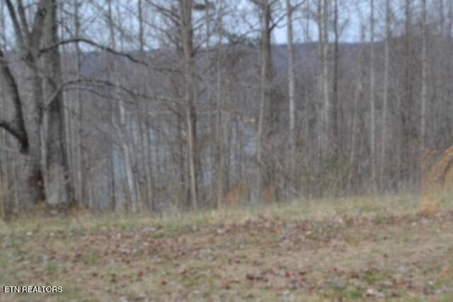 DSC_0023 - Lots 4 & 5 Fox Hill Rd, Baxter, TN 38544, Baxter