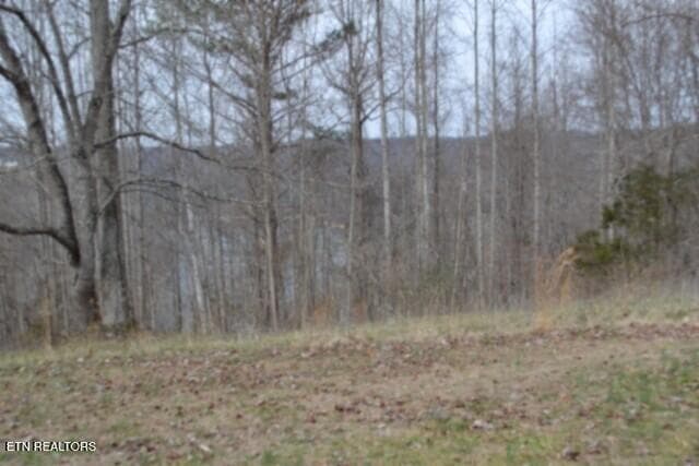 DSC_0024 - Lots 4 & 5 Fox Hill Rd, Baxter, TN 38544, Baxter