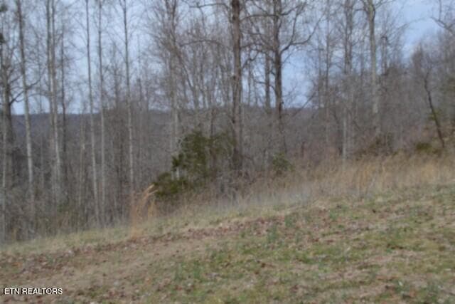 DSC_0025 - Lots 4 & 5 Fox Hill Rd, Baxter, TN 38544, Baxter