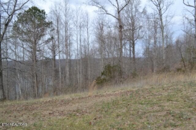 DSC_0026 - Lots 4 & 5 Fox Hill Rd, Baxter, TN 38544, Baxter