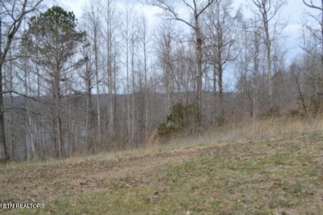 DSC_0027 - Lots 4 & 5 Fox Hill Rd, Baxter, TN 38544, Baxter