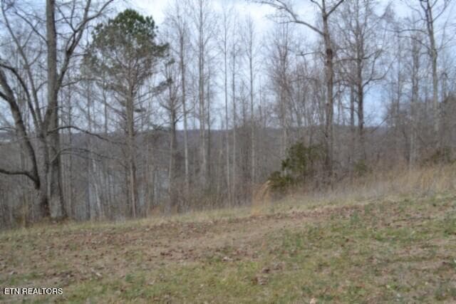 DSC_0028 - Lots 4 & 5 Fox Hill Rd, Baxter, TN 38544, Baxter