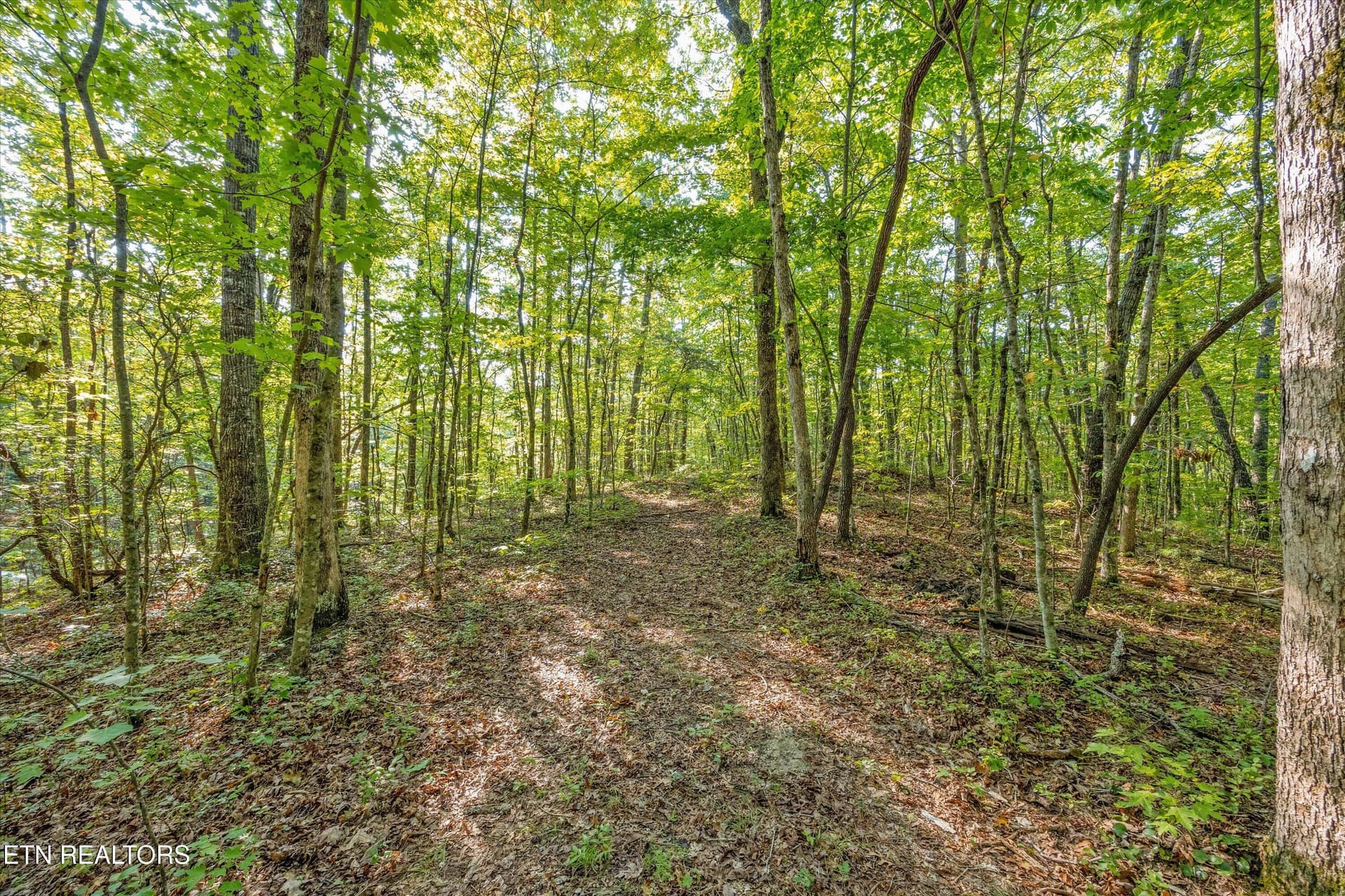 6637 Avens Lane, Tallassee, TN 37878