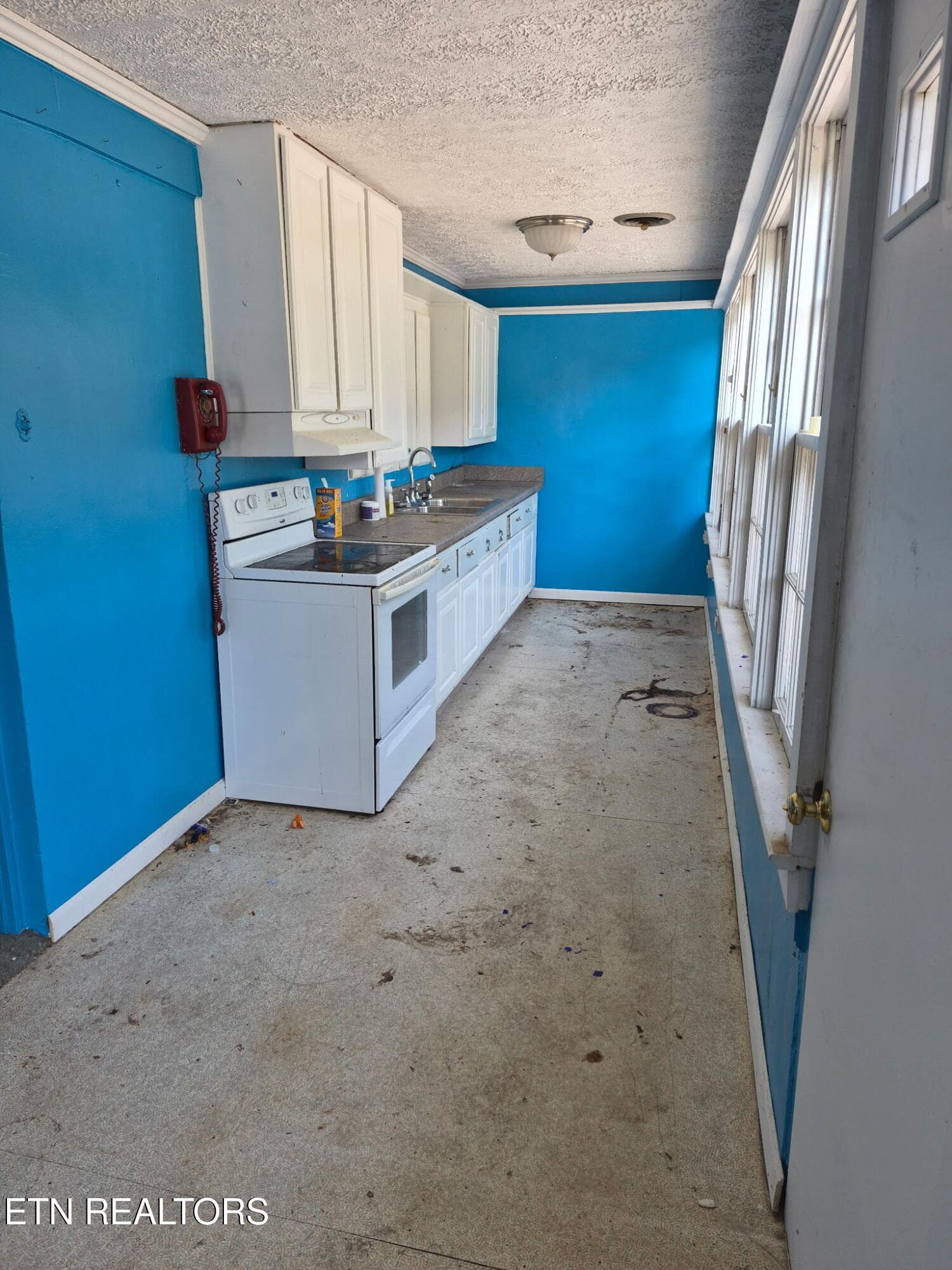 1000055335 - 117 Roane St, Oliver Springs, TN 37840, Oliver Springs