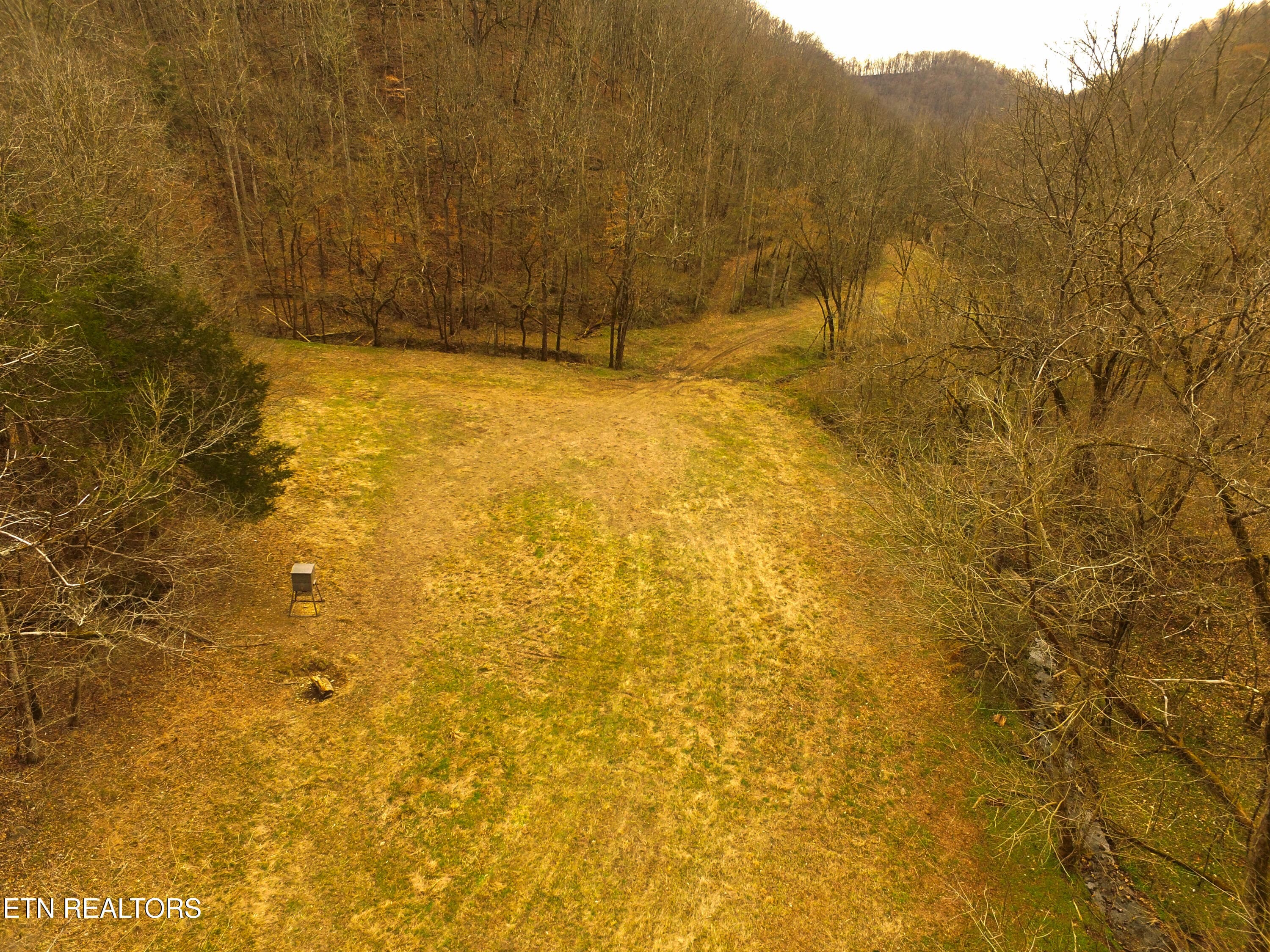 Back Field forward - 290 Hazel Huffines Lane, Whitleyville, TN 38588, Whitleyville