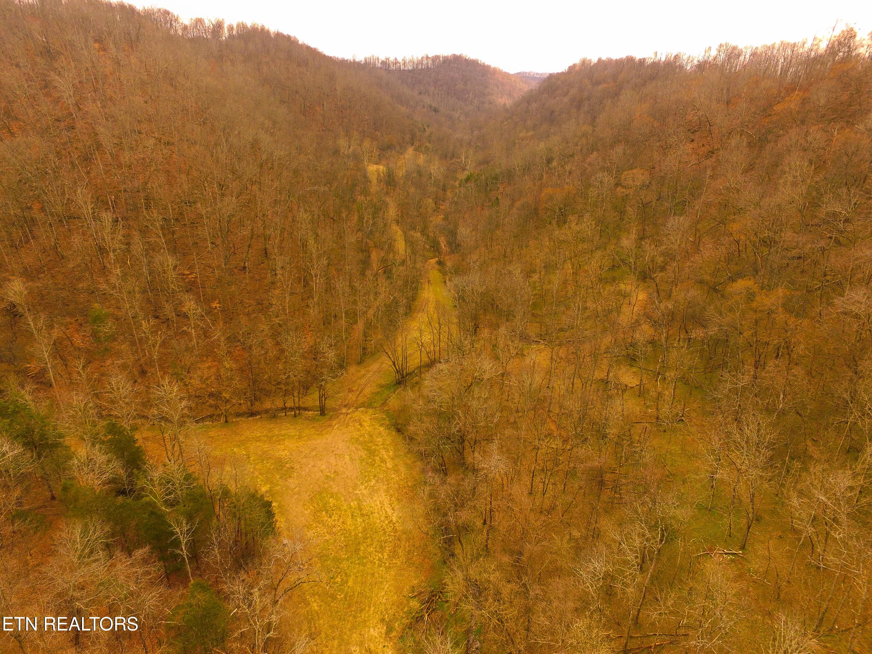Back Field Looking toward House - 290 Hazel Huffines Lane, Whitleyville, TN 38588, Whitleyville