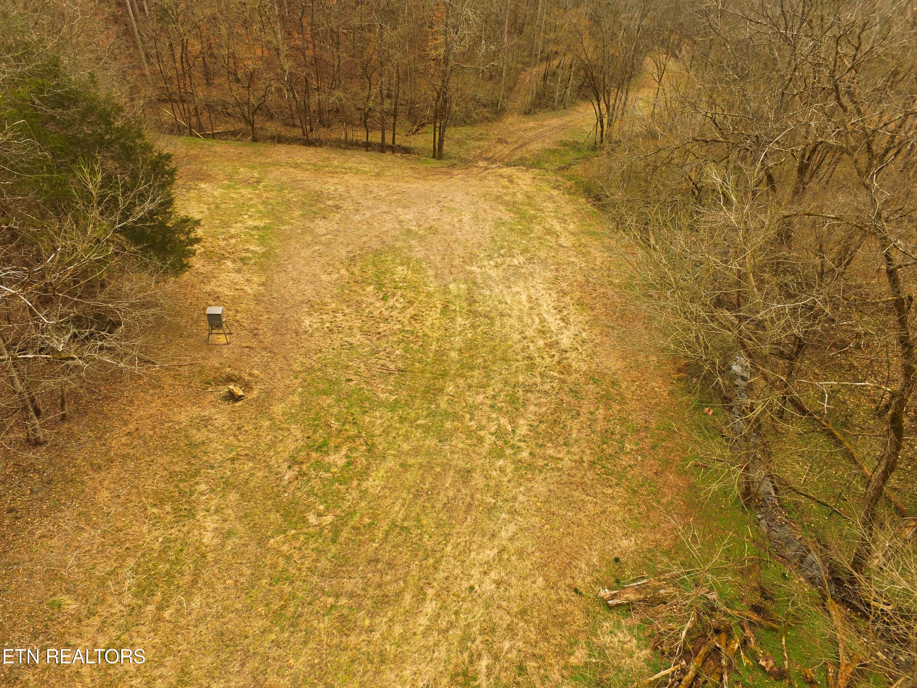 Back Field Stand - 290 Hazel Huffines Lane, Whitleyville, TN 38588, Whitleyville