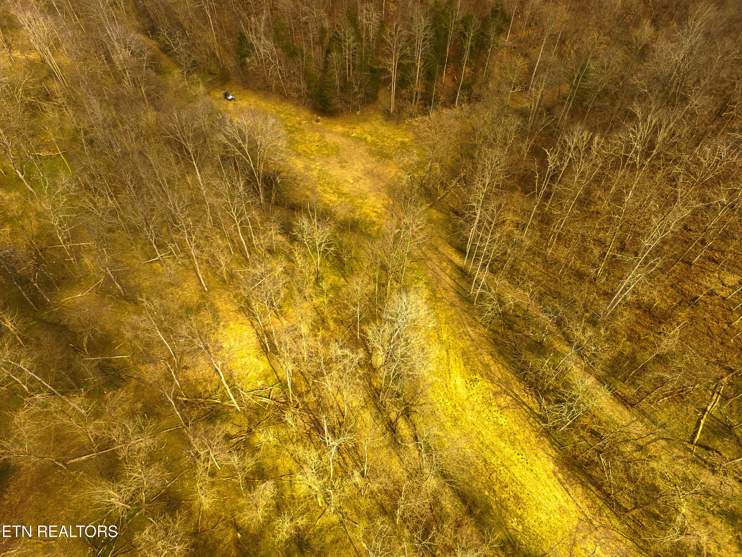 Back Fields - 290 Hazel Huffines Lane, Whitleyville, TN 38588, Whitleyville