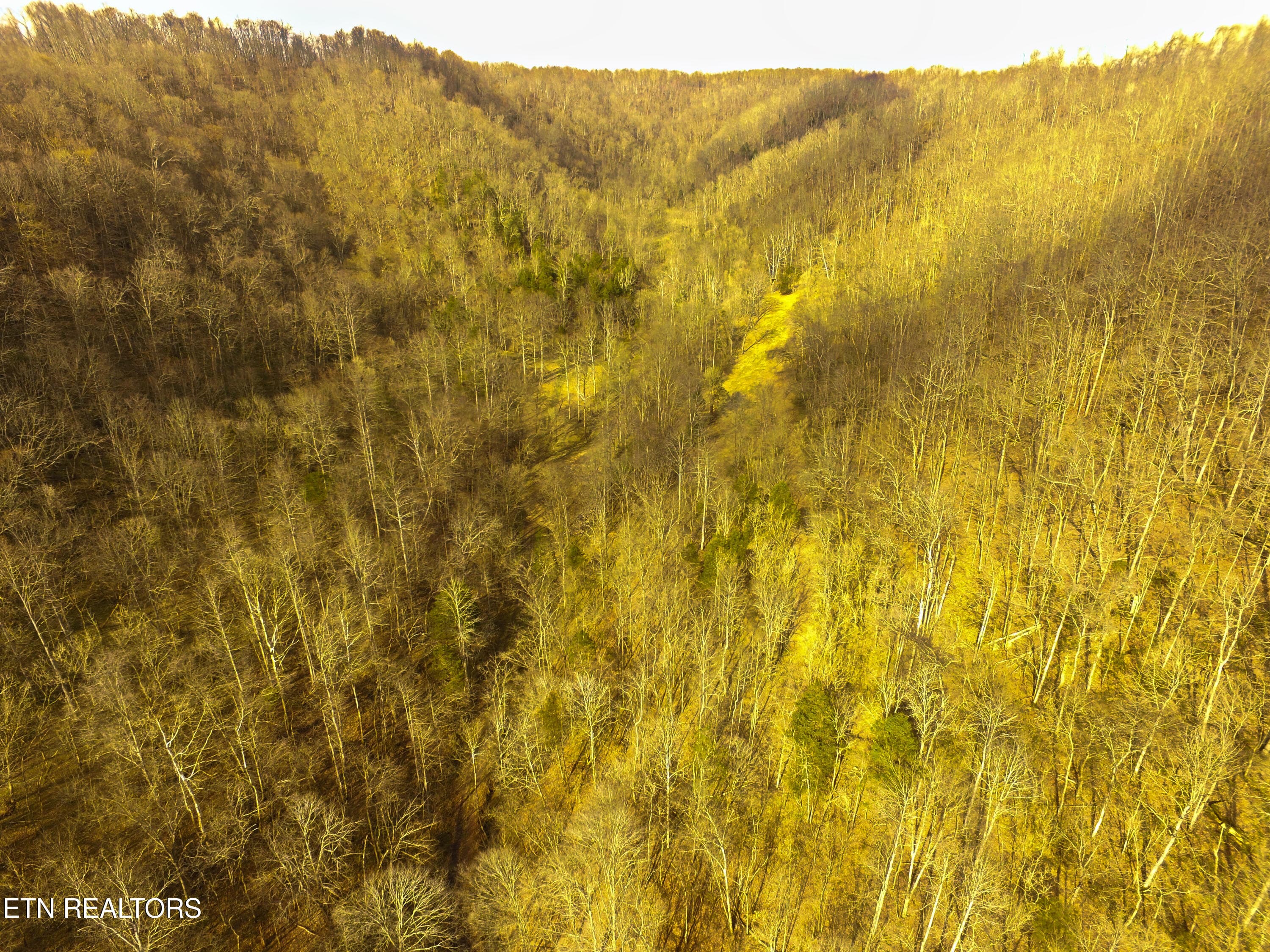 Back Hollow - 290 Hazel Huffines Lane, Whitleyville, TN 38588, Whitleyville