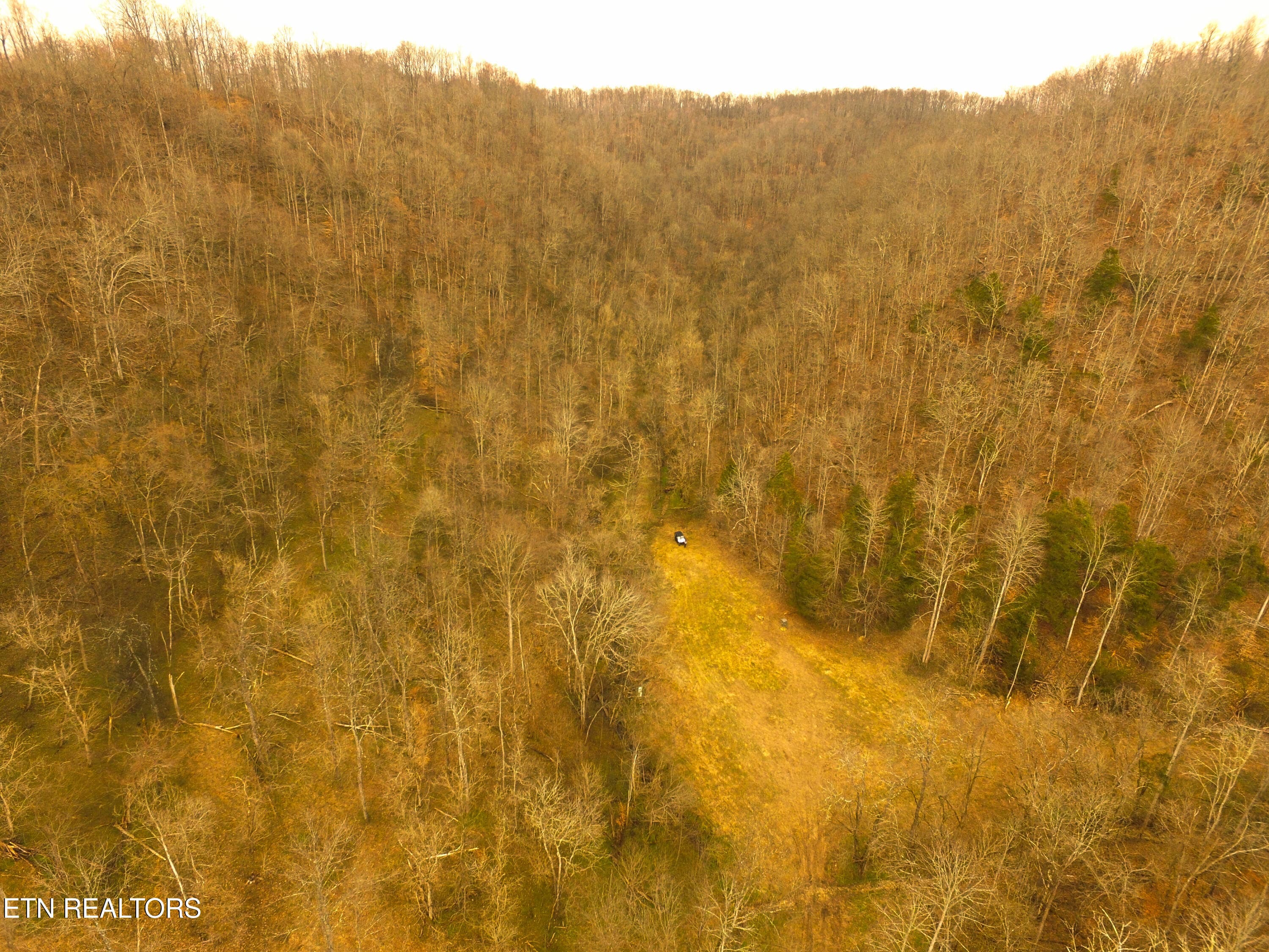 Back of Property - 290 Hazel Huffines Lane, Whitleyville, TN 38588, Whitleyville