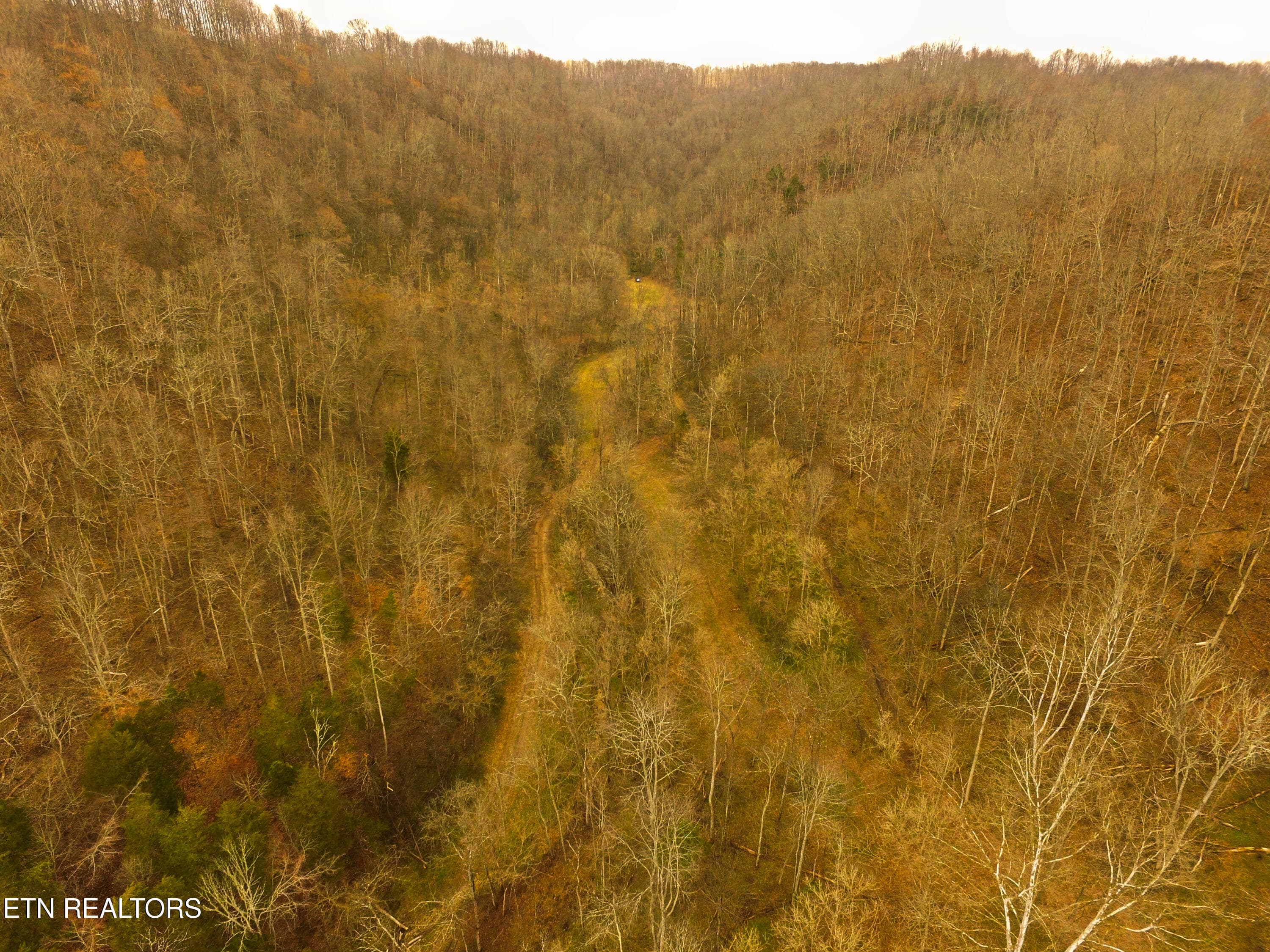 Back Section - 290 Hazel Huffines Lane, Whitleyville, TN 38588, Whitleyville