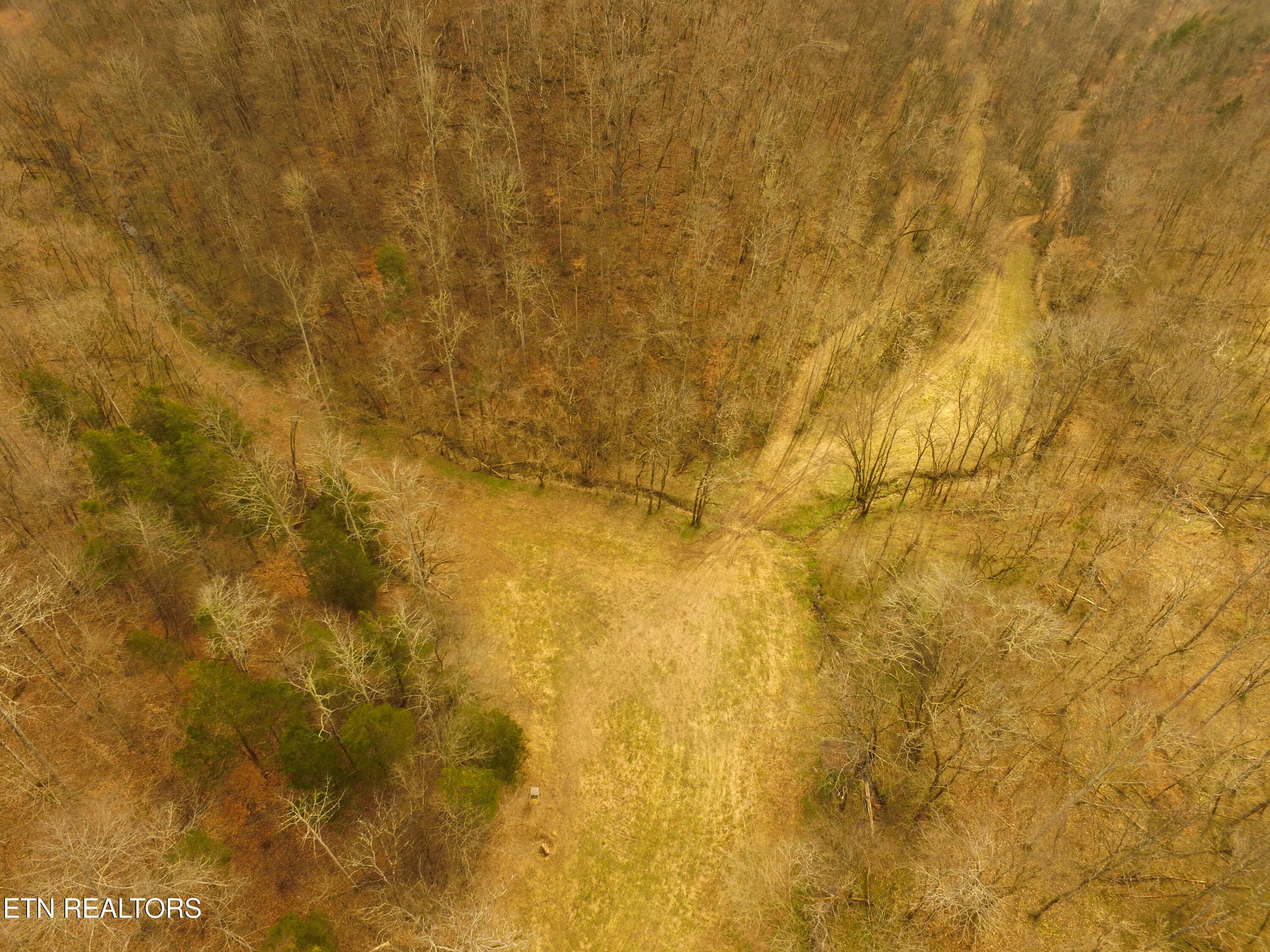 Back Split - 290 Hazel Huffines Lane, Whitleyville, TN 38588, Whitleyville