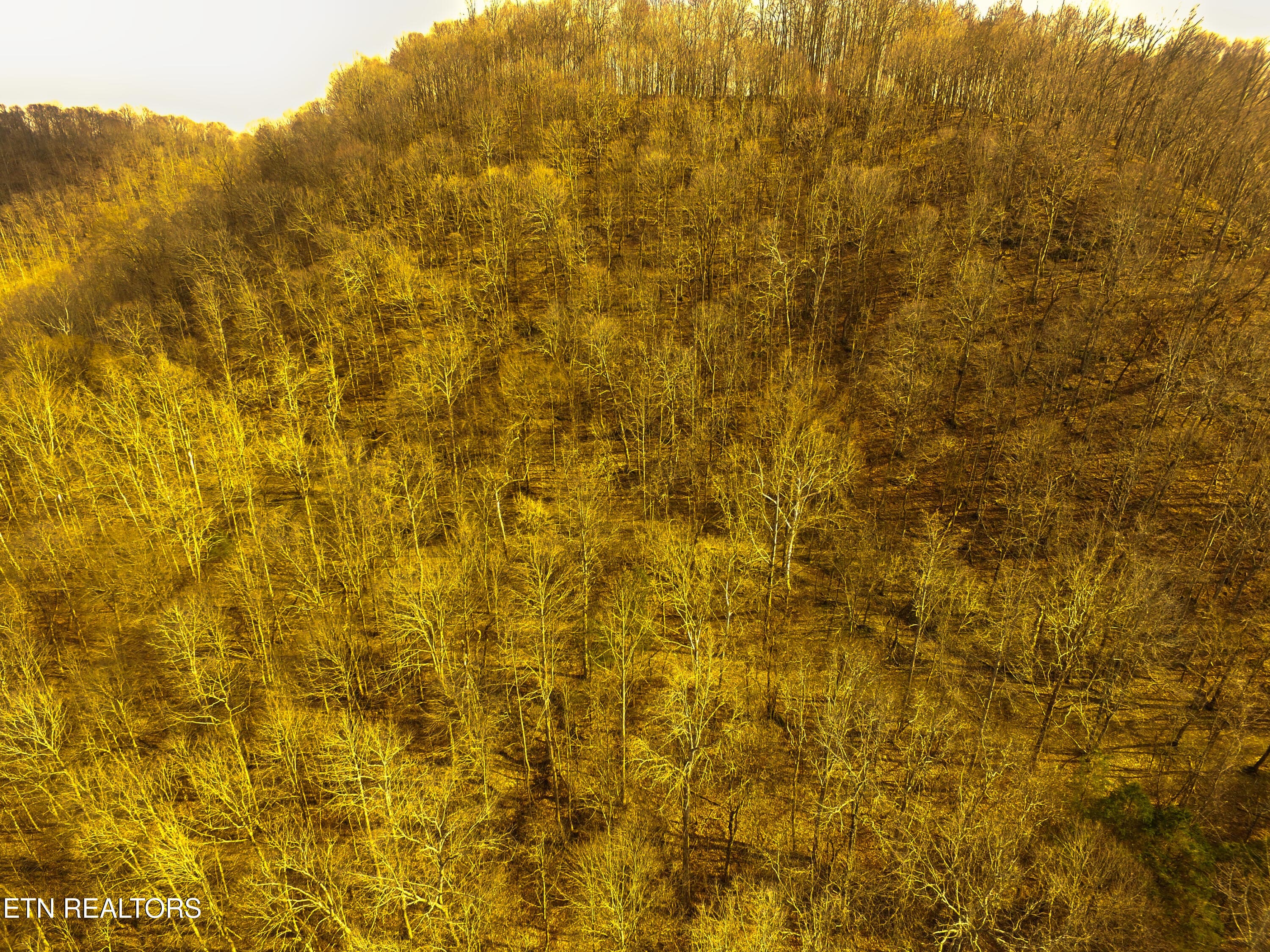 Hillside Behind Home w Roads - 290 Hazel Huffines Lane, Whitleyville, TN 38588, Whitleyville