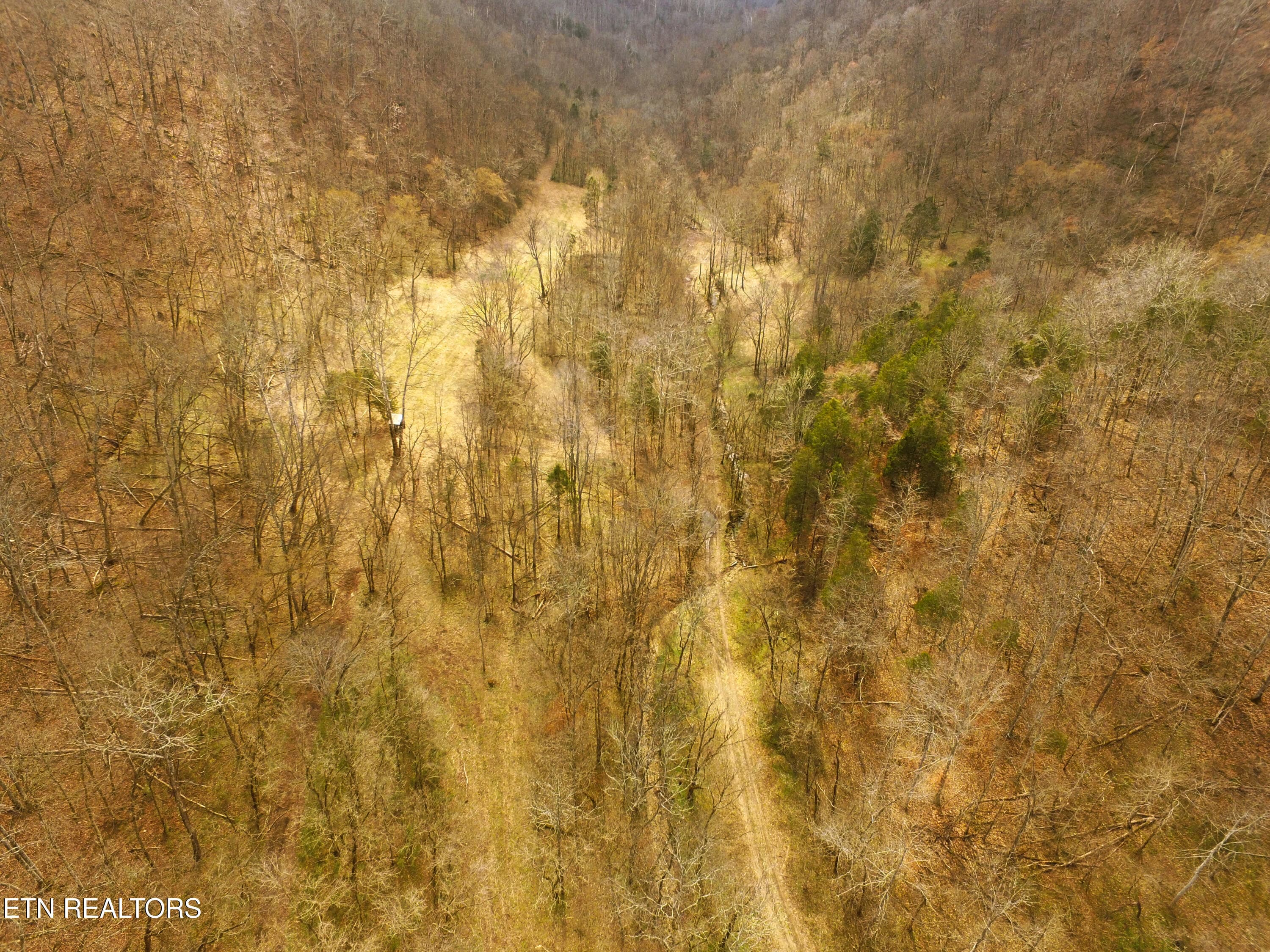 Hillside Stand Cleared - 290 Hazel Huffines Lane, Whitleyville, TN 38588, Whitleyville