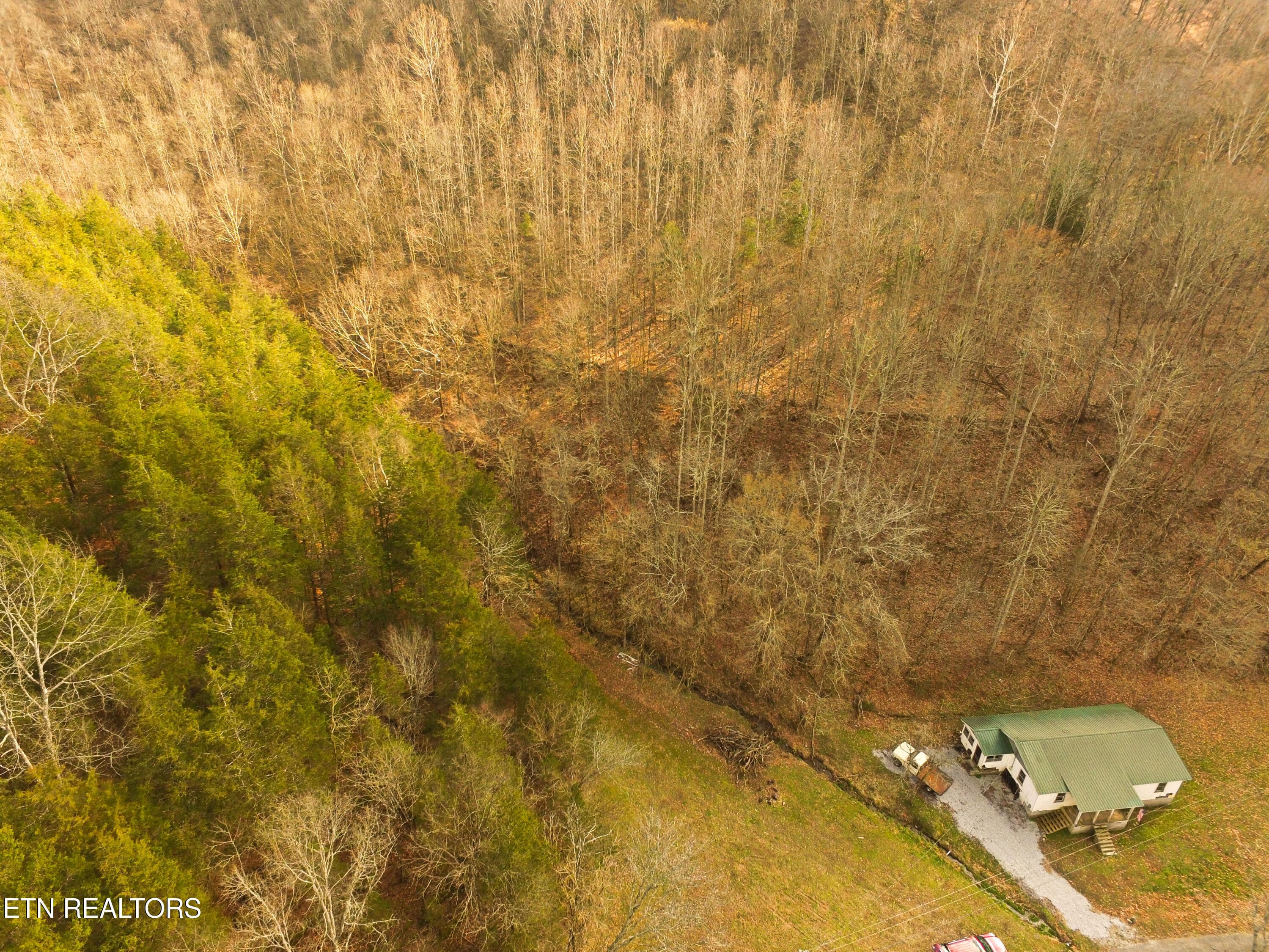 Home Hill Behind Home - 290 Hazel Huffines Lane, Whitleyville, TN 38588, Whitleyville
