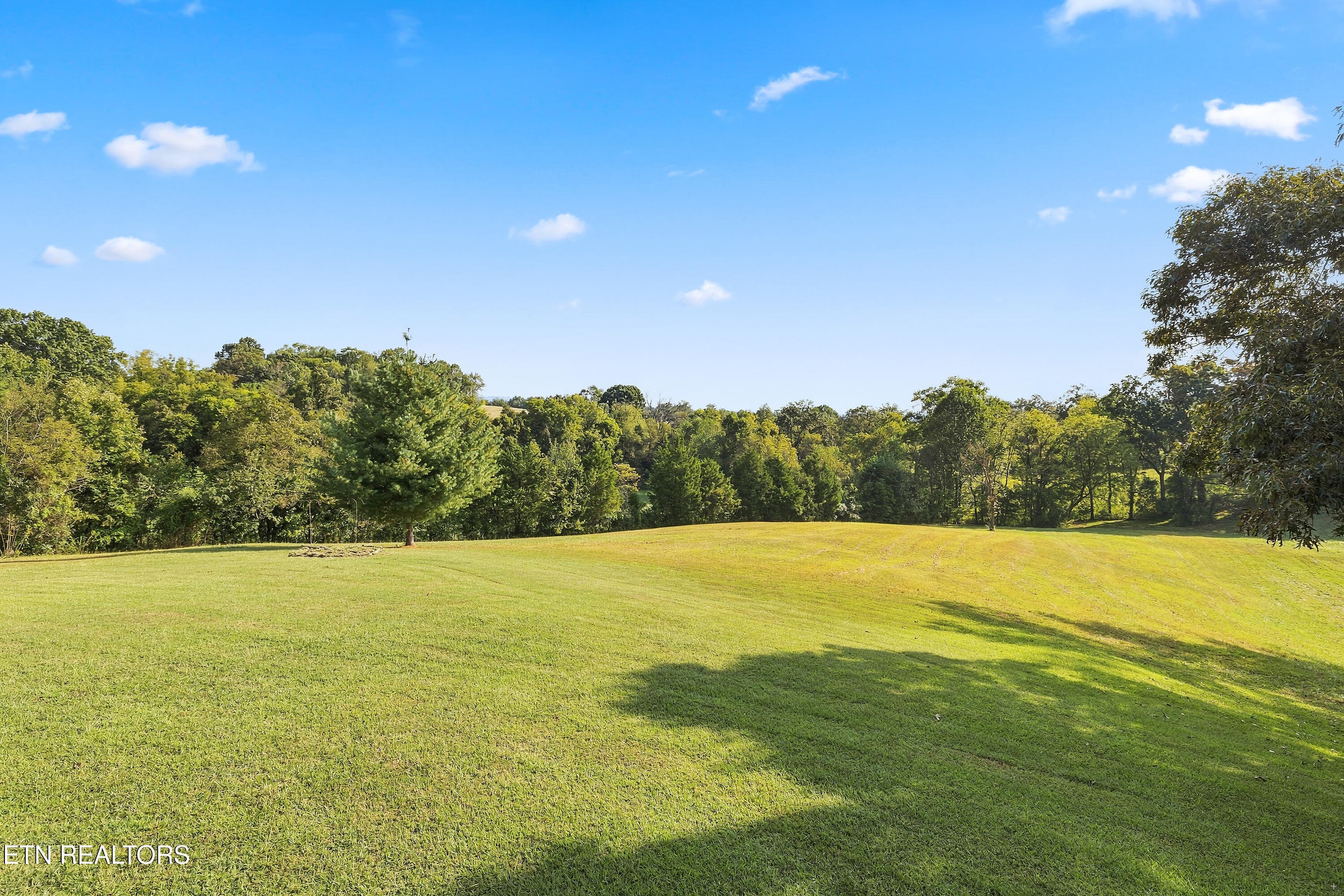 Open lawn, mature trees - 2460 Northern Rd, New Market, TN 37820, New Market