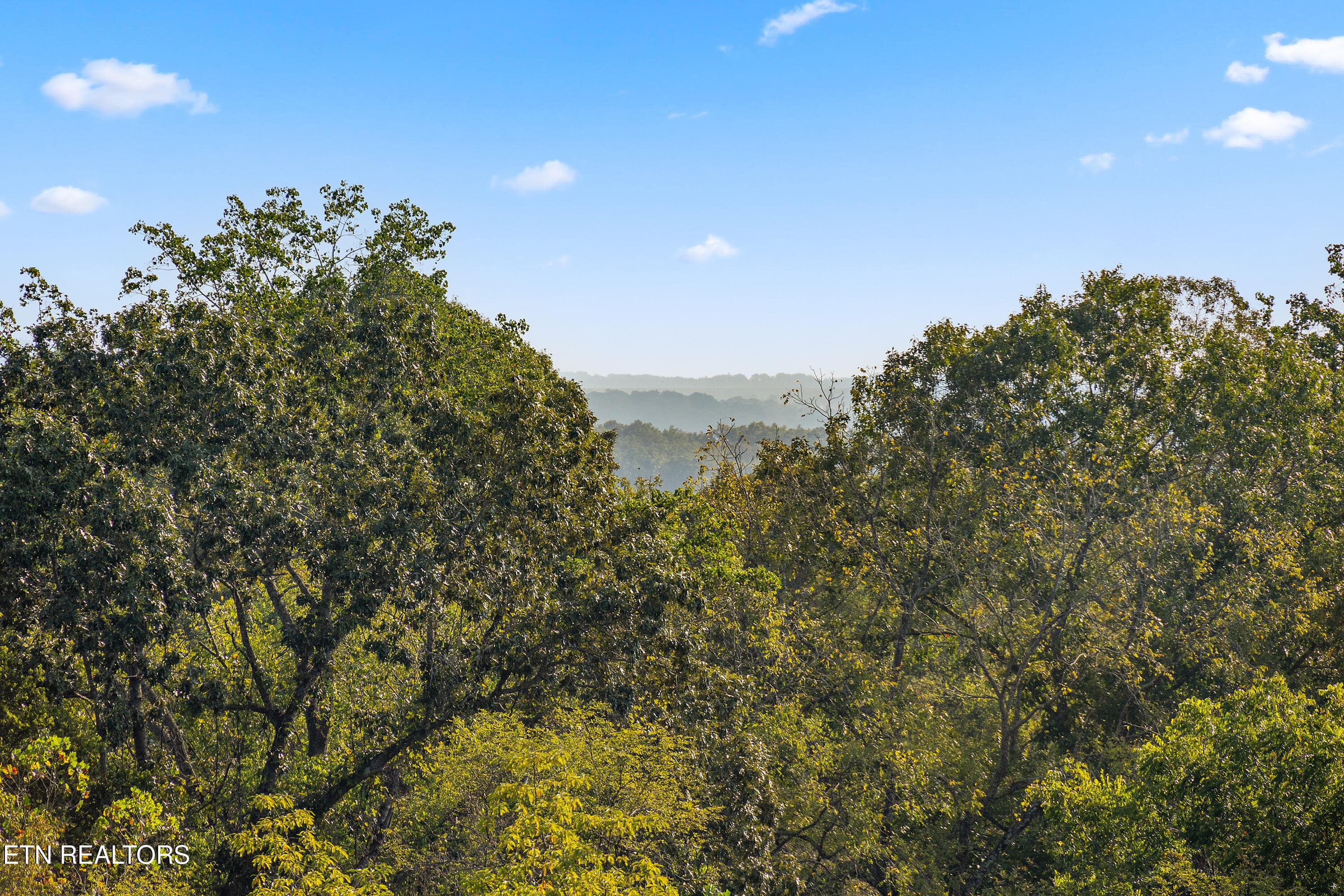 Wooded Countryside View - 2460 Northern Rd, New Market, TN 37820, New Market