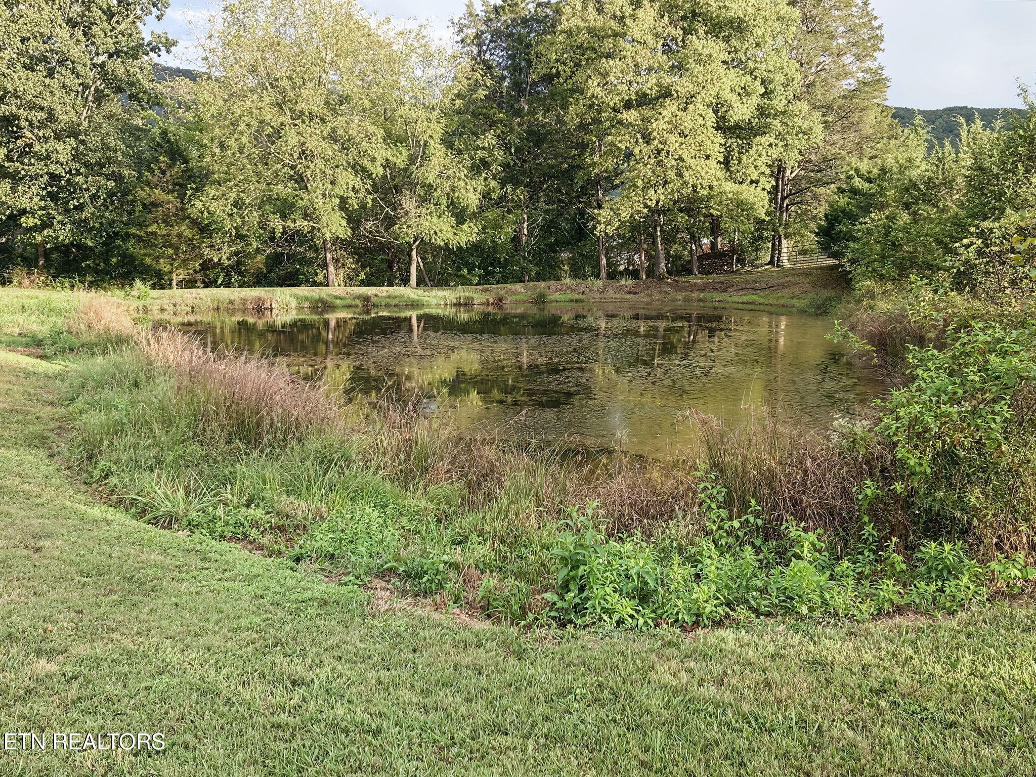 44. - 6820 Sunset Glen Way, Corryton, TN 37721, Corryton
