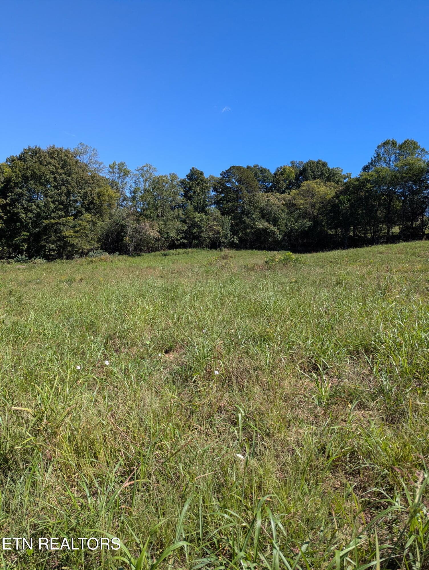 10816 Richland Rd 24-89, Mascot, TN 37806