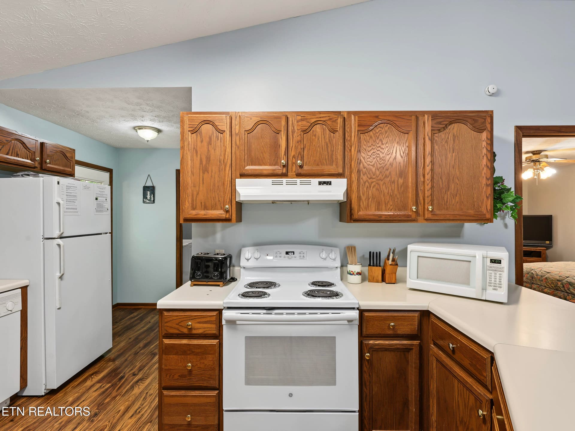 IMG_2640 LR - 1533 Honey Bee Cove Way, Pigeon Forge, TN 37863
