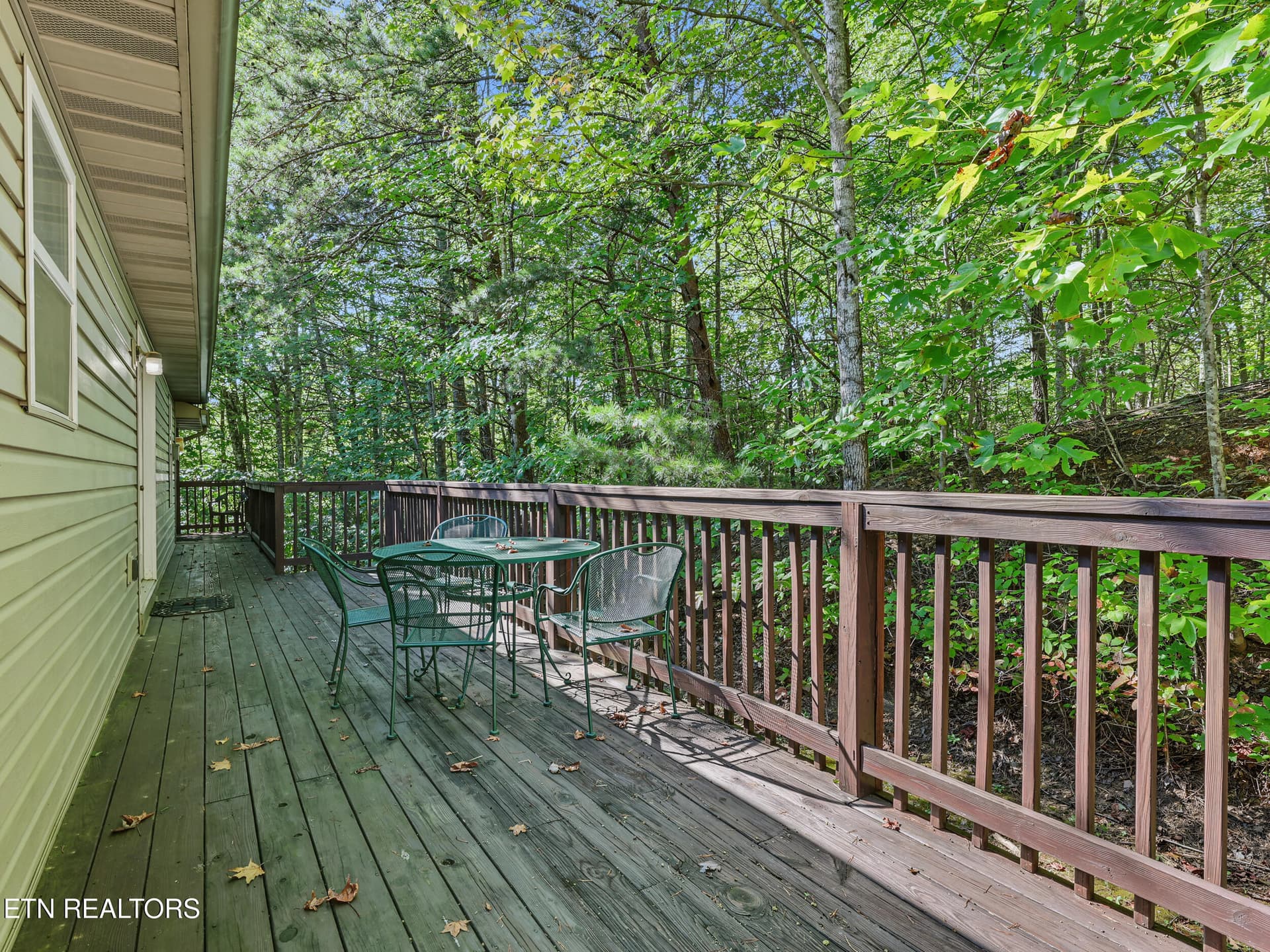 IMG_2665 - 1533 Honey Bee Cove Way, Pigeon Forge, TN 37863