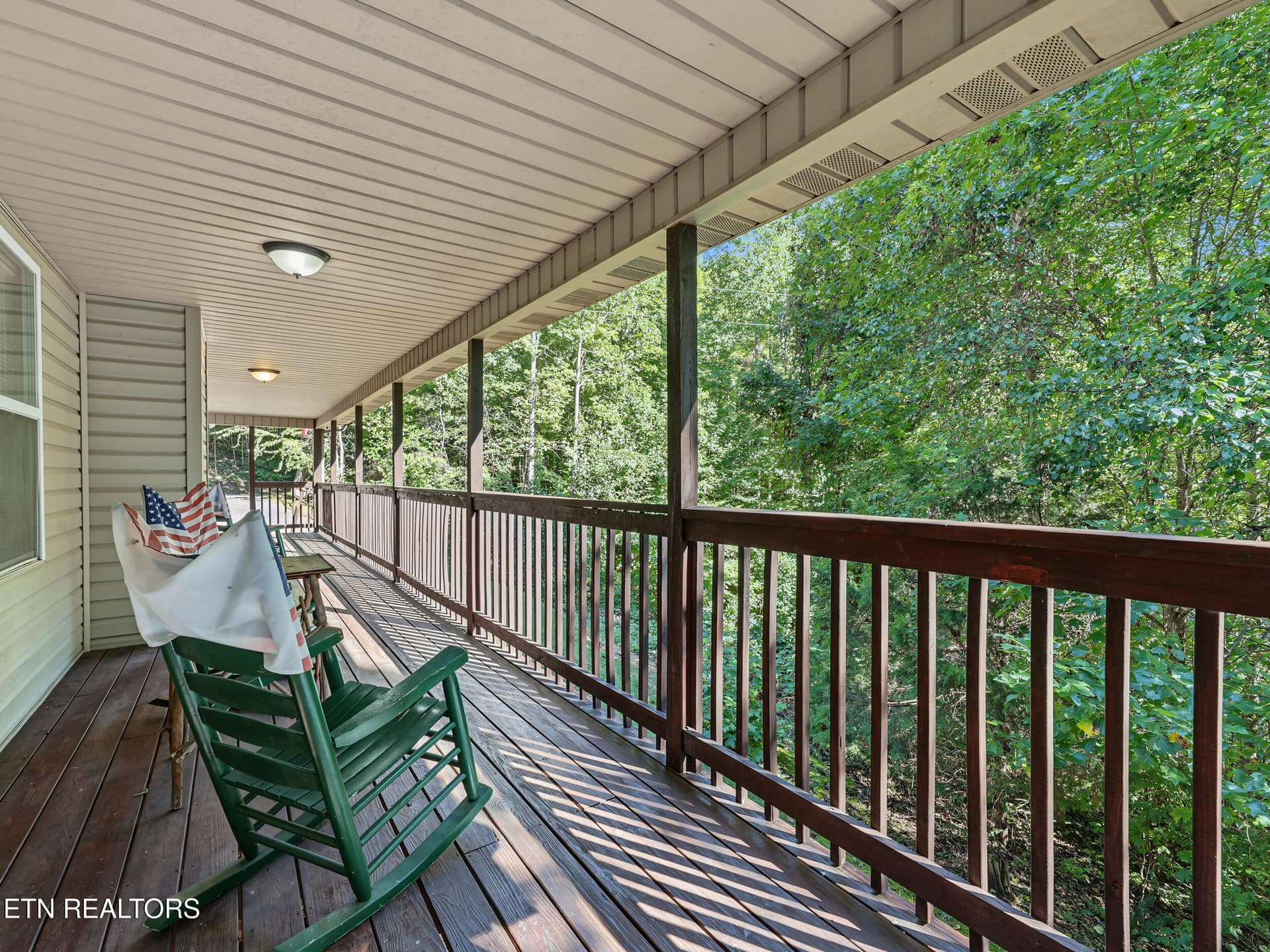 IMG_2575 - 1533 Honey Bee Cove Way, Pigeon Forge, TN 37863