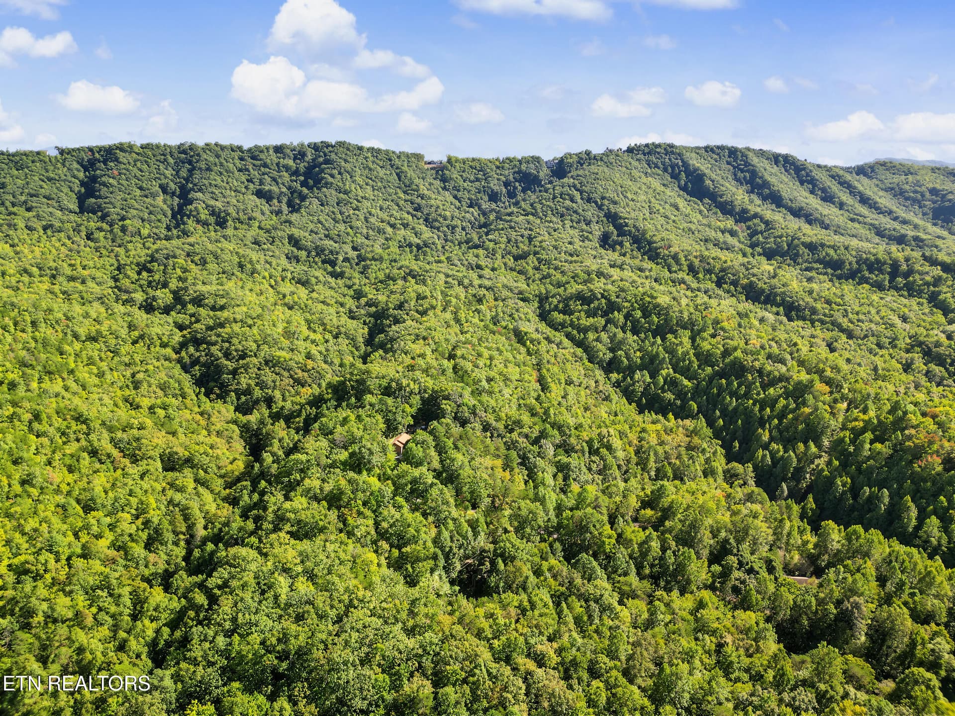 DJI_0084 (1) - 1533 Honey Bee Cove Way, Pigeon Forge, TN 37863