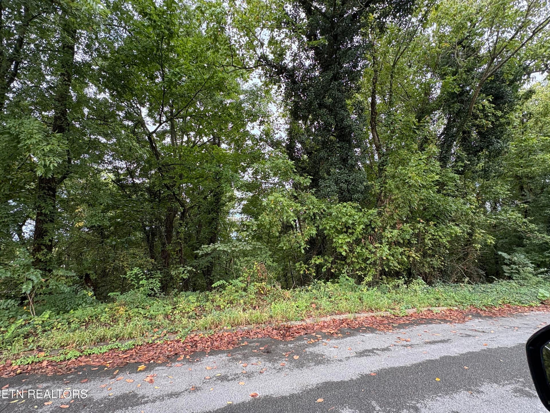 Dogwalk Rd, Greeneville, TN 37745