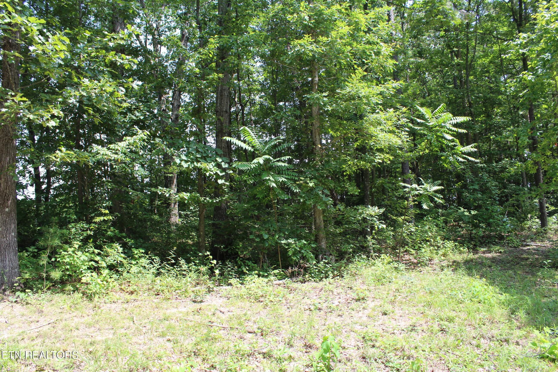 Tennessee 154, Jamestown, TN 38556