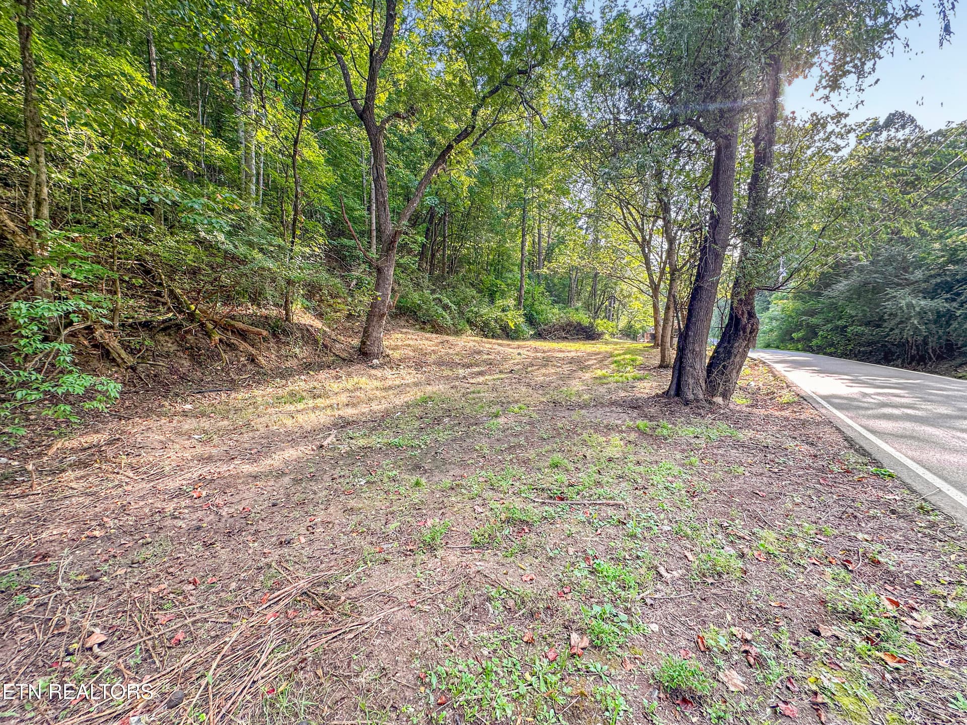 9109 Pickens Gap Rd, Knoxville, TN 37920