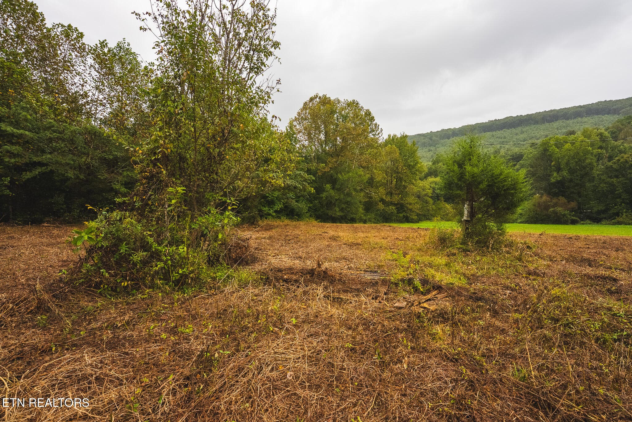 1432 Beech Creek Rd, Rogersville, TN 37857
