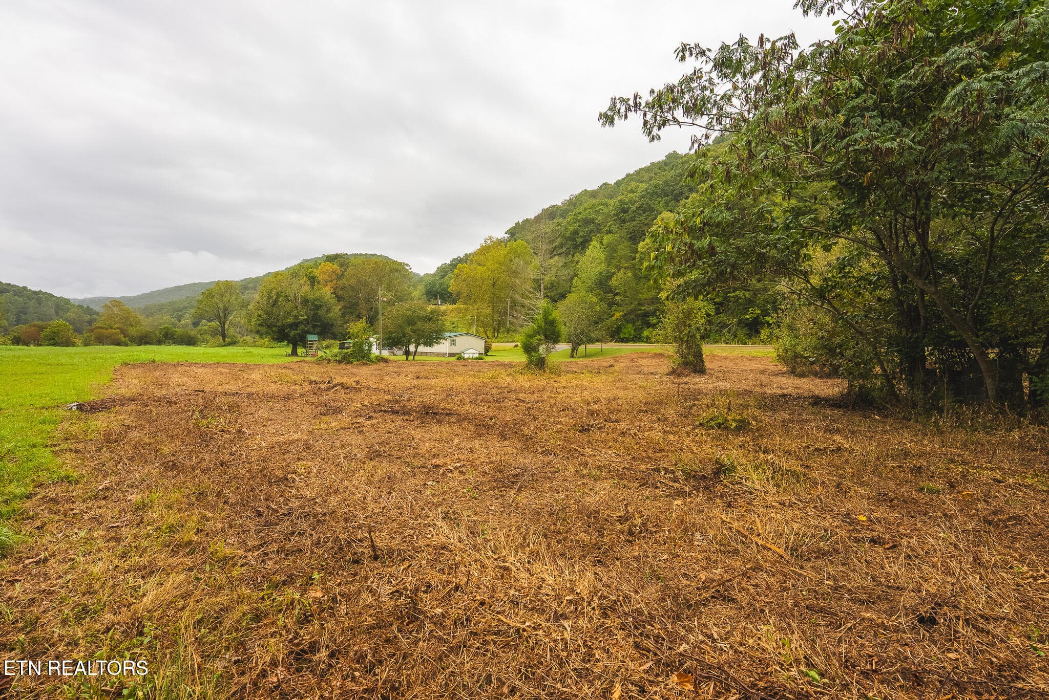 DSC04195 - 1432 Beech Creek Rd, Rogersville, TN 37857, Rogersville