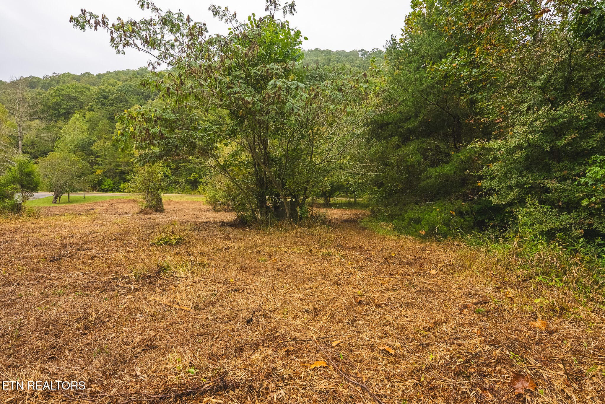 DSC04196 - 1432 Beech Creek Rd, Rogersville, TN 37857, Rogersville