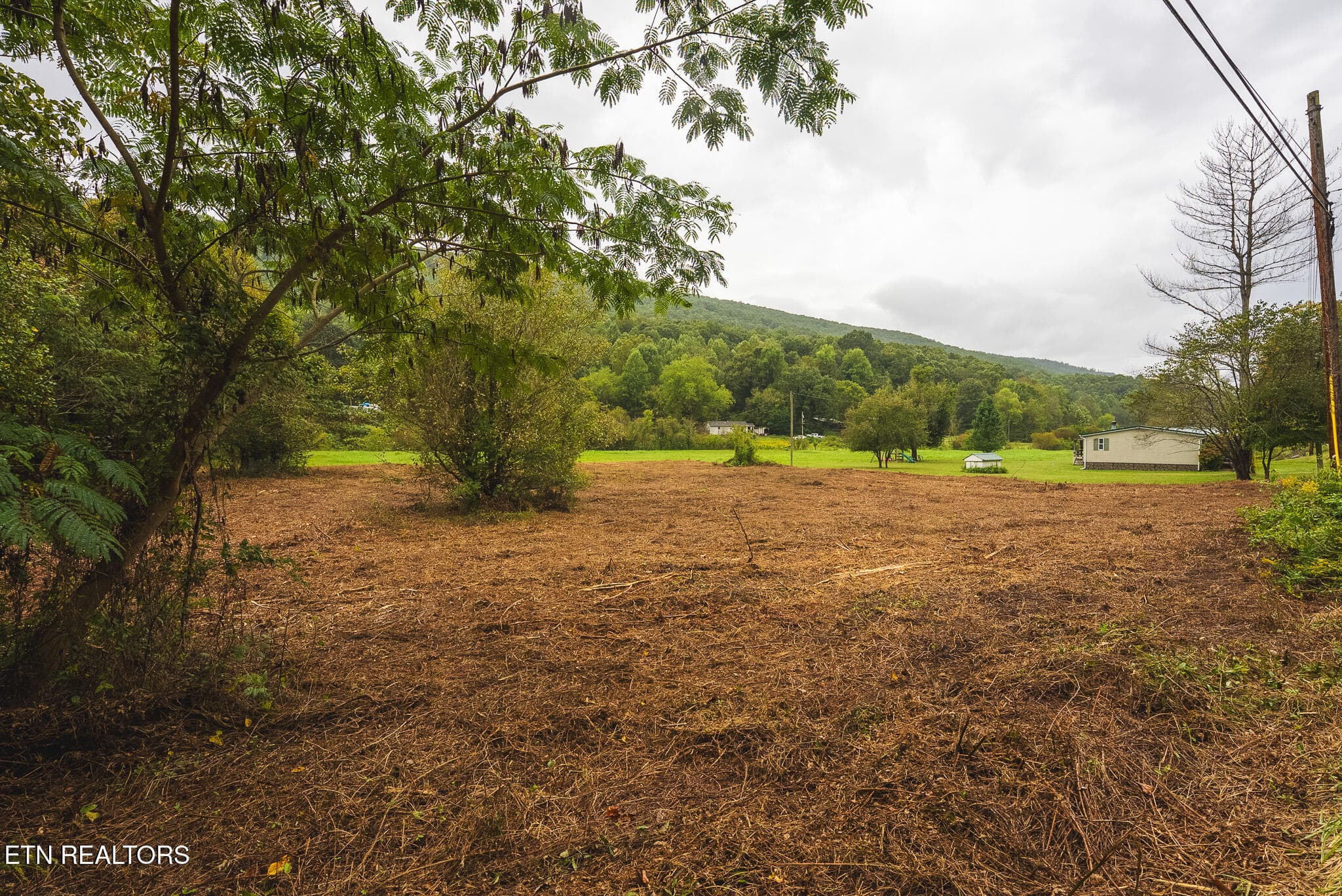 DSC04197 - 1432 Beech Creek Rd, Rogersville, TN 37857, Rogersville