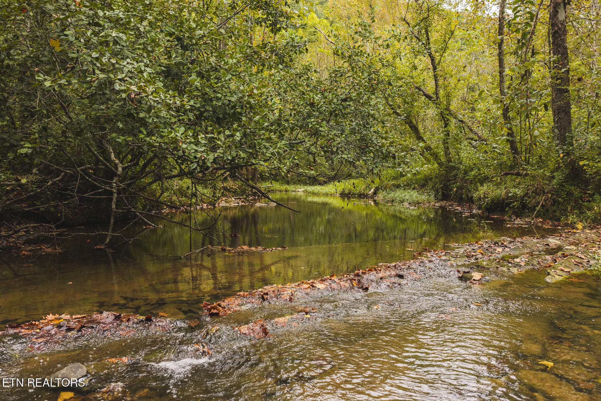 DJI_20260923140902_0317_D - Copy - 1444 Beech Creek Rd, Rogersville, TN 37857, Rogersville