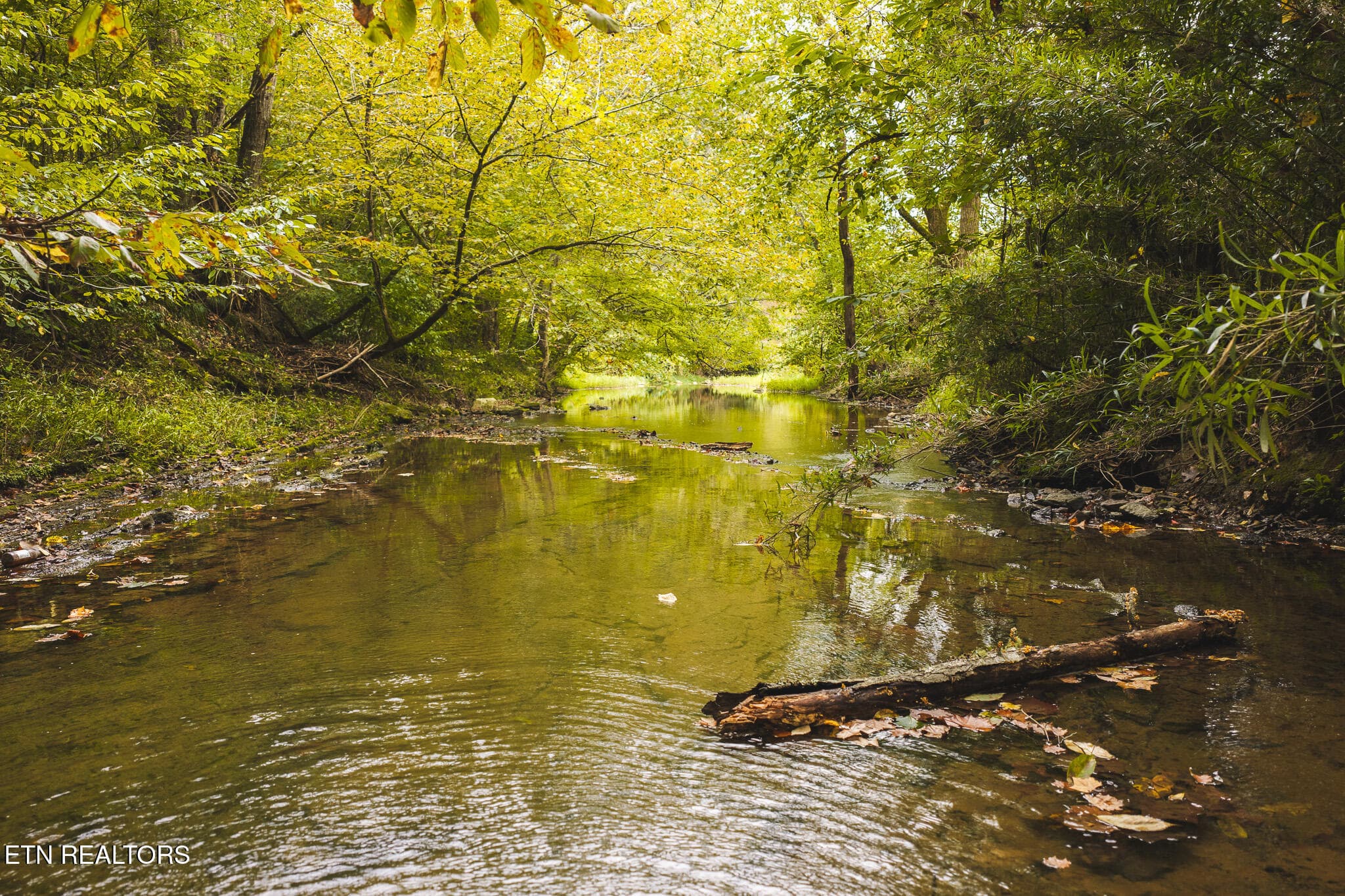 DJI_20260923141049_0322_D - Copy - 1444 Beech Creek Rd, Rogersville, TN 37857, Rogersville