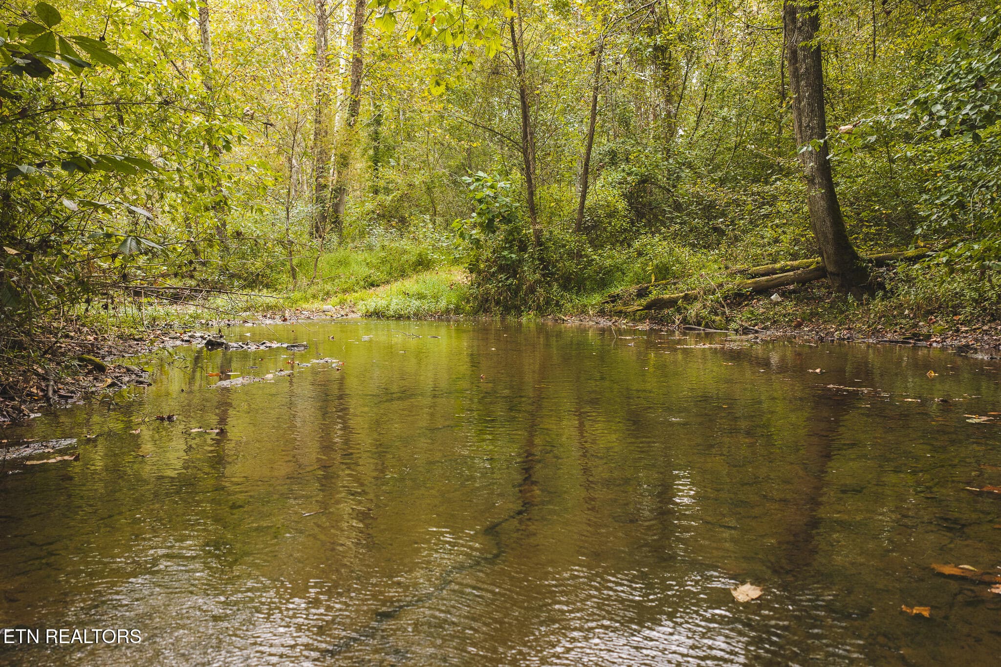 DJI_20260923141057_0323_D - Copy - 1444 Beech Creek Rd, Rogersville, TN 37857, Rogersville