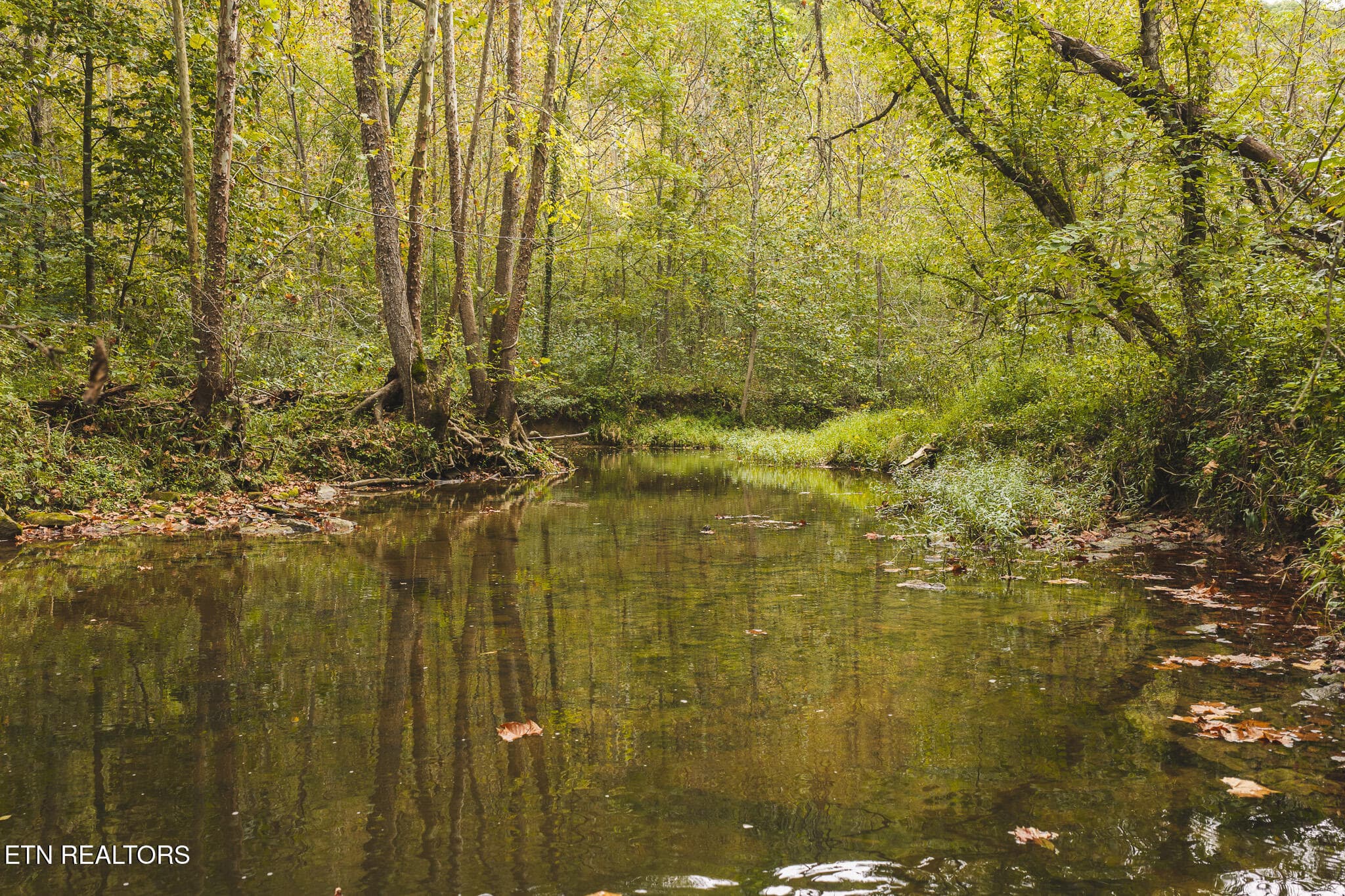 DJI_20260923141131_0325_D - Copy - 1444 Beech Creek Rd, Rogersville, TN 37857, Rogersville