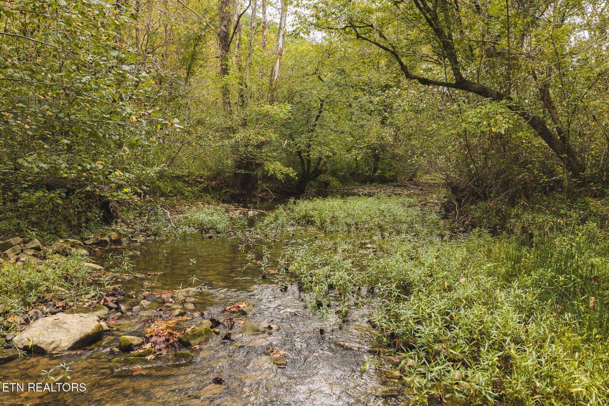 DJI_20260923141233_0328_D - Copy - 1444 Beech Creek Rd, Rogersville, TN 37857, Rogersville