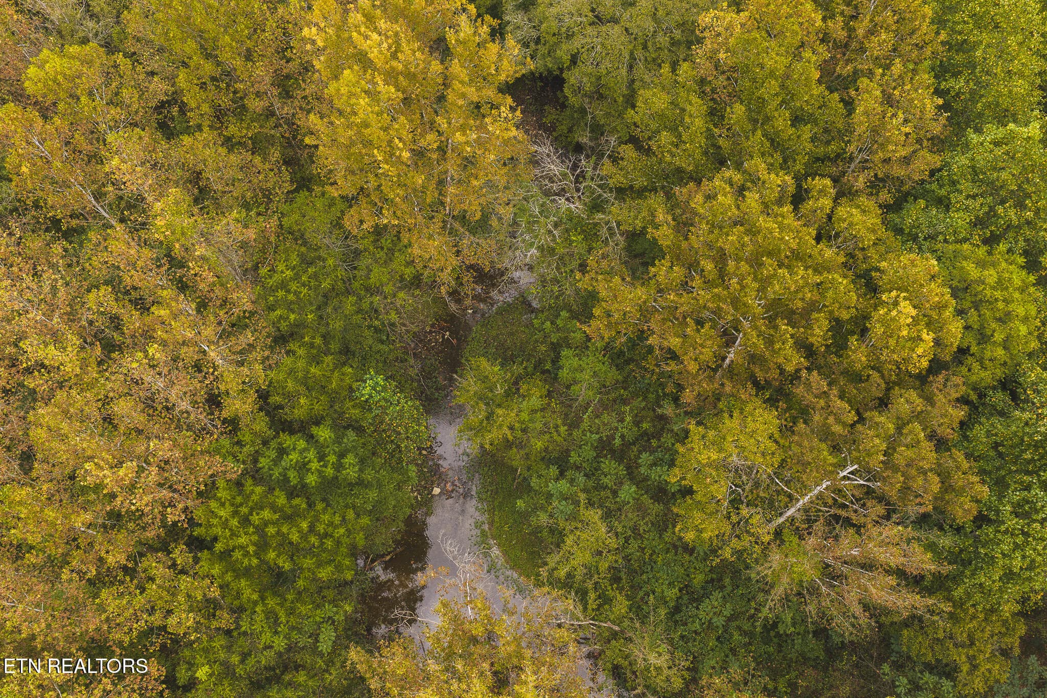 DJI_20260923141521_0337_D - Copy - 1444 Beech Creek Rd, Rogersville, TN 37857, Rogersville