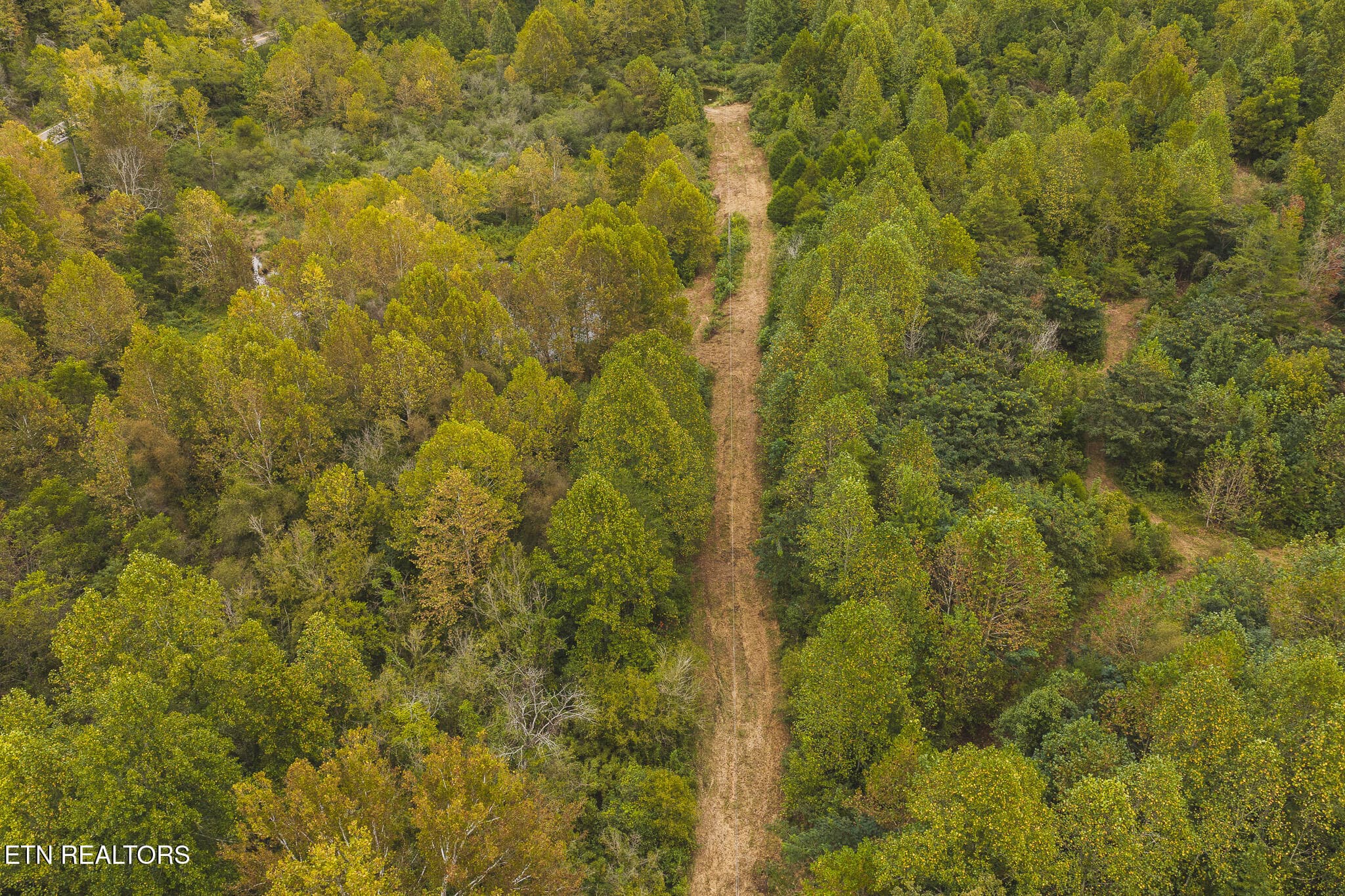 DJI_20260923141533_0338_D - Copy - 1444 Beech Creek Rd, Rogersville, TN 37857, Rogersville
