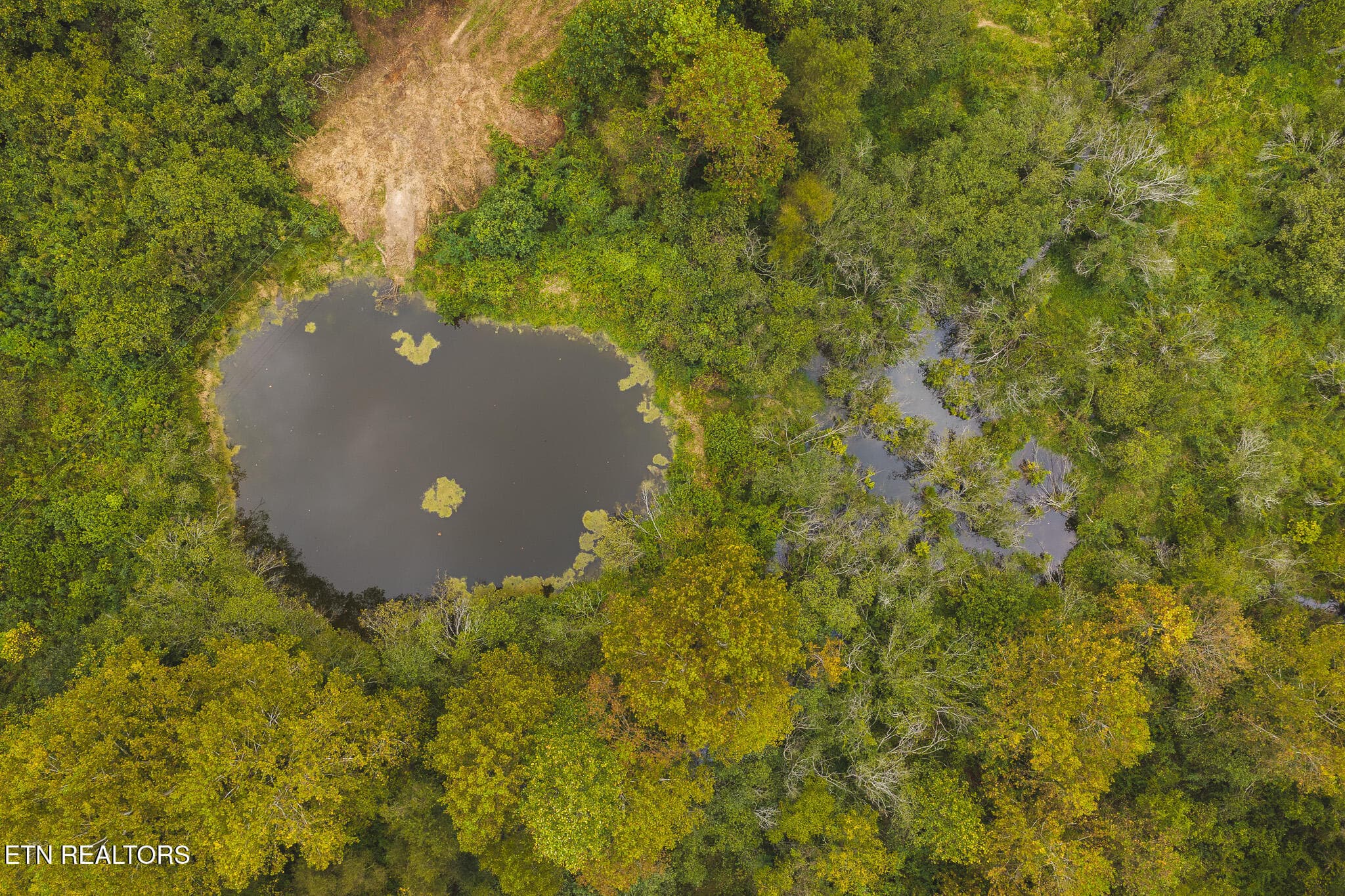 DJI_20260923141719_0345_D - Copy - 1444 Beech Creek Rd, Rogersville, TN 37857, Rogersville