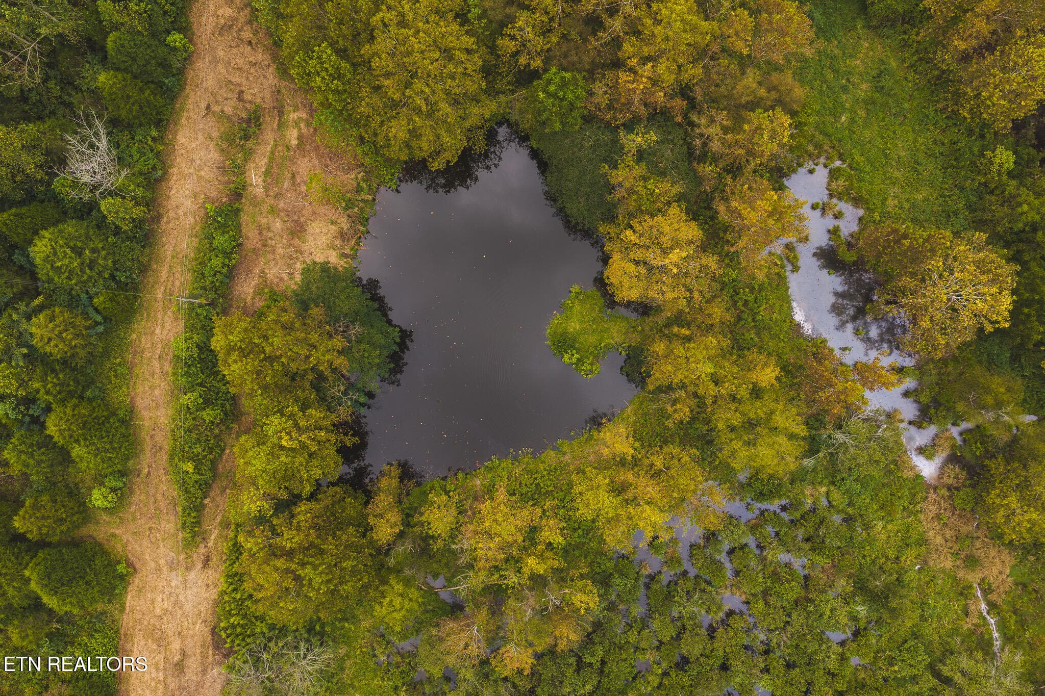DJI_20260923141819_0347_D - Copy - 1444 Beech Creek Rd, Rogersville, TN 37857, Rogersville
